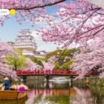 Ramayanam 2026: 4000 करोड़ का बजट और नितेश तिवारी का ‘अजेय’ रिकॉर्ड! क्या रणबीर कपूर तोड़ पाएंगे ‘दंगल’ का जादुई आंकड़ा?