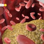 AI War 2026: अब फ्री में इस्तेमाल करें Claude का नया अवतार! सीधे Microsoft 365 से कनेक्ट होगा एंथ्रोपिक का यह जादुई AI टूल