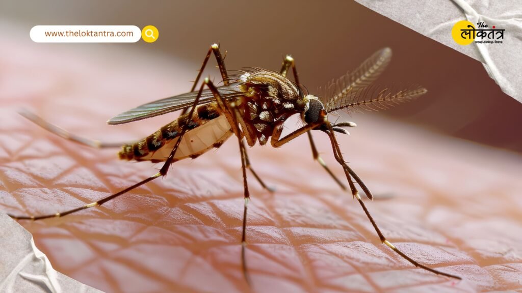 Death is on the wing in every home! The mosquito turns out to be the world's most dangerous creature, claiming the lives of hundreds of thousands of people every year.