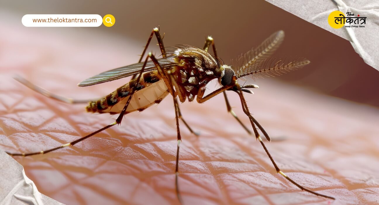 Death is on the wing in every home! The mosquito turns out to be the world's most dangerous creature, claiming the lives of hundreds of thousands of people every year.