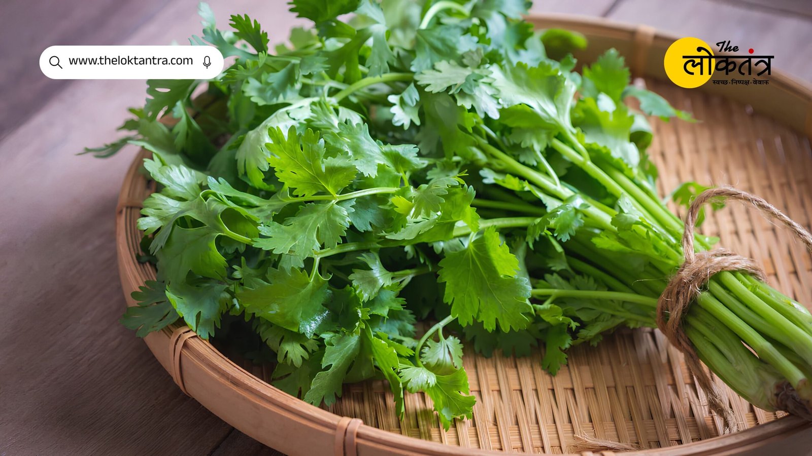 Bihar: Farmers will get a grant of up to ₹ 15,000 for sowing coriander, know the application process and eligibility.