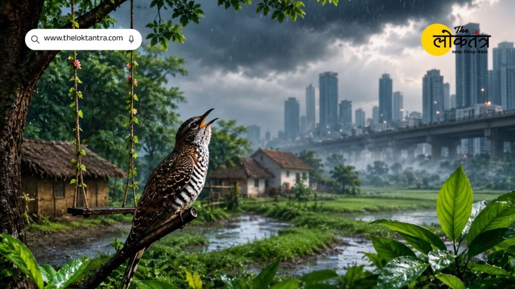 The *Papihara* of the monsoon season has turned away from the metropolitan atmosphere.