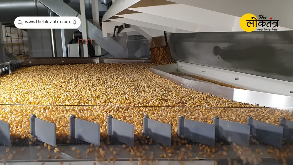 Golden opportunity to set up a pulse mill in Bihar, government is giving subsidy up to Rs 25 lakh; Apply by 15th September
