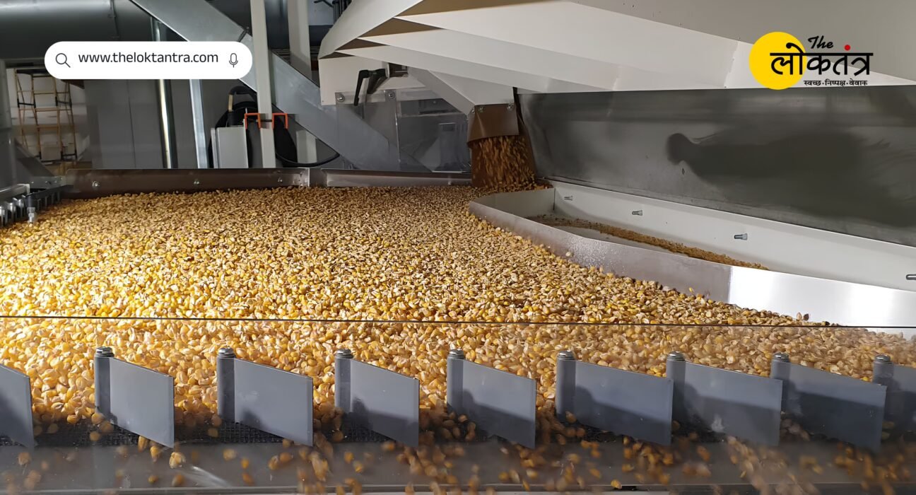 Golden opportunity to set up a pulse mill in Bihar, government is giving subsidy up to Rs 25 lakh; Apply by 15th September