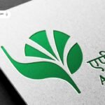 Asian Games 2026: भारत ने 44 साल बाद जीता महिला हॉकी गोल्ड, 2028 Olympics का टिकट पक्का